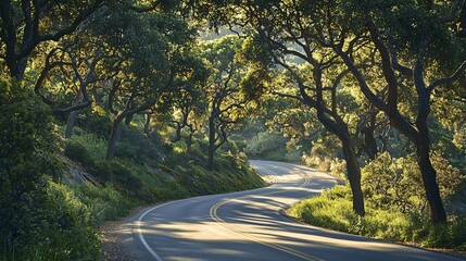 Obraz premium Serene Country Road Through Lush Green Canopy with Dappled Light Patterns