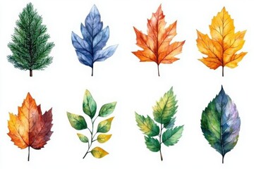 Obraz premium A collection of watercolor illustrations of various leaves in different colors and shapes.