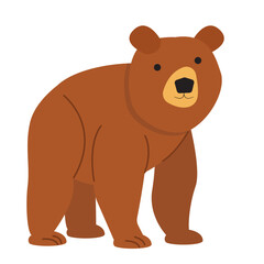 Bear Illustration