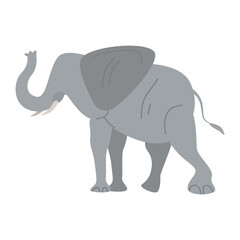 Elephant Illustration
