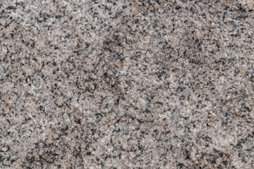 Mesozoi Plutonic Rocks, Gray biotite - rich granodiorite to quartz diorite. granite. Cottonwood Mountains . Colorado Desert section of the Sonoran Desert. Joshua Tree National Park, California.   