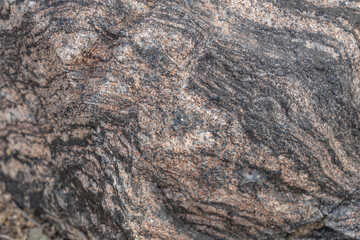 Mesozoi Plutonic Rocks, Gray biotite - rich granodiorite to quartz diorite. granite. Cottonwood Mountains . Colorado Desert section of the Sonoran Desert. Joshua Tree National Park, California.   