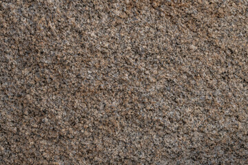 Mesozoi Plutonic Rocks, Gray biotite - rich granodiorite to quartz diorite. granite. Cottonwood Mountains . Colorado Desert section of the Sonoran Desert. Joshua Tree National Park, California.   