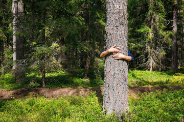 Teen boy hugs tree in a forest promoting environmental care and connection with nature