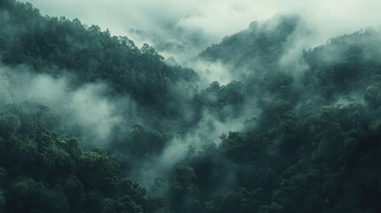 Obraz premium Misty Mountain Landscape with Lush Green Forests and Dense Fog Blanketing the Valleys in a Serene and Tranquil Atmosphere