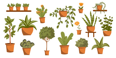 Design elements flowers, flowers in pots