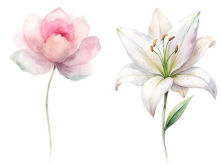 Obraz premium Two flowers, one pink and one white, are shown side by side