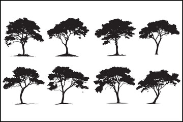 Cypress Tree Silhouettes, Tree Silhouette Bundle, Transparent Tree Designs, Evergreen Tree Vector, Cypress Tree Clipart, Nature Silhouette Pack, Black and White Trees, PNG Tree Graphics