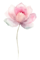 A watercolor painting of a pink flower with a green stem