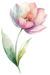 A watercolor painting of a pink flower with green leaves