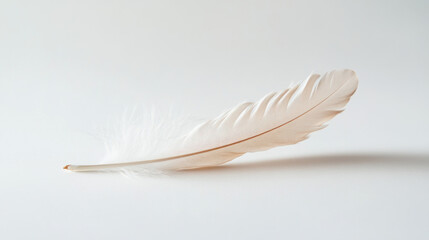 Delicate white feather on a smooth, neutral background, showcasing its intricate details and elegant curves in soft natural lighting.