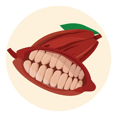 Cocoa pod with leafs, half sliced cacao pod with cacao beans inside