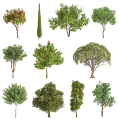 different cut out trees on transparent background