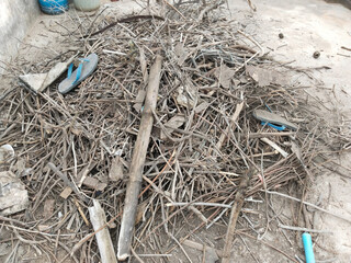 dried small Woods for burn in winter season