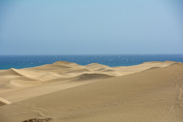 Sand dunes by the sea