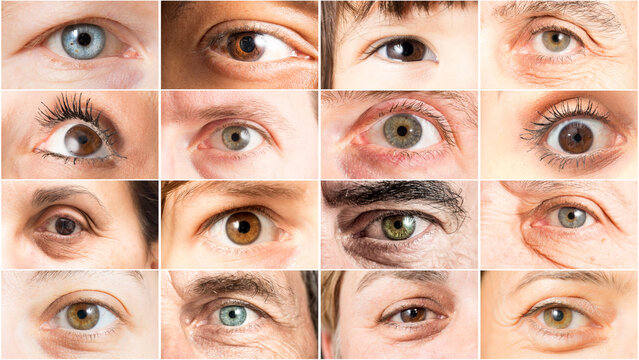Collage of different people eyes showing variety of colors and shapes
