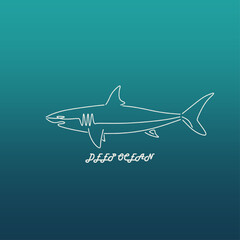 illustration of a Great White Shark