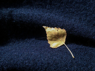 autumn leaves on fabric