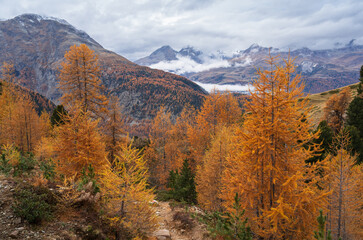 Autumn in the mountains above Pontresina.