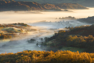 Autumn mist in Lake District valley as the morning light shines onto the golden trees & landscape. Little Langdale, Windermere, UK.
