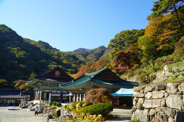 temples and mountains