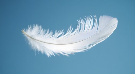 A single floating white feather floats in the air against a light blue background, highlighting the softness of the feather. Representing a feeling of calm and tranquility. It looks very beautiful.