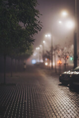 Street in the fog at night. Foggy misty night pedestrian road illuminated by street lights. 