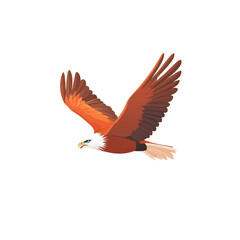 Obraz premium Majestic Red Eagle in Flight - Vector Illustration