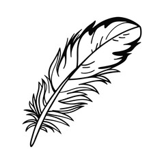 Obraz premium black feather silhouette design illustration