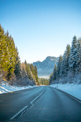 Cars asphalt road between high snowy pine trees. Winter morning in the Alpine mountains region. Concept of traveling by car, transportation, logistics