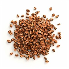 Obraz premium A close-up view of a pile of brown seeds showcasing their unique texture and shape. Perfect for botanical or gardening themes.