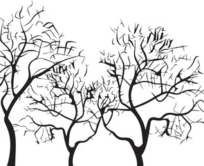 silhouette of tree