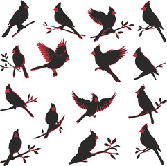 Obraz premium collection of birds