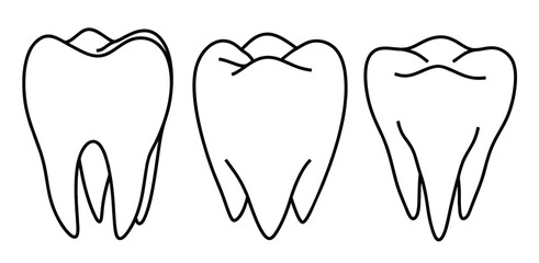 Hand drawn outline tooth. medical doodle set with art line style on isolated white background.