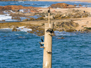 Farol do Aguilhao Vila do Conde Portugal