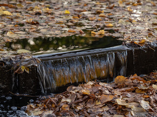 waterfall on a stream and autumn leaves