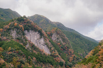 Fototapeta premium view of the mountains in autumn season