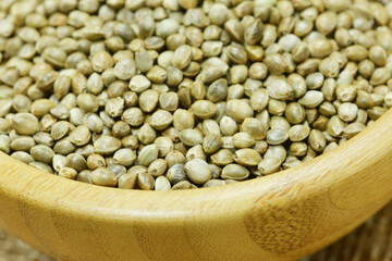 Hanfsamen, Cannabaceae, Cannabis sativa