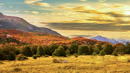 This vibrant autumn landscape near El Chaltén, Patagonia, Argentina, features golden meadows,...