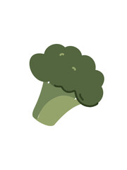 Vector drawing of a bunch of broccoli on a white background