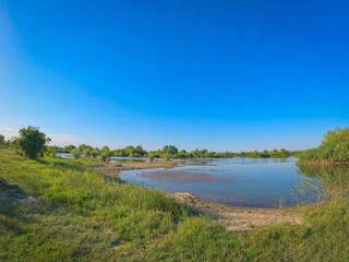 Summer landscape with a delta and a quiet lake reflecting a willow in the water. Natural habitat...