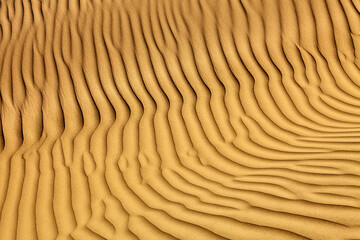 Sand dunes are natural formations typically found in deserts, coastal regions, and other areas with significant amounts of loose sand. These dunes are created and shaped by the wind.Paracas Peru