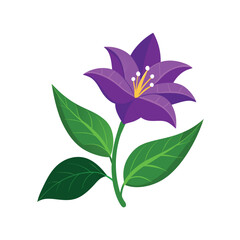 purple flower with leaves on white background