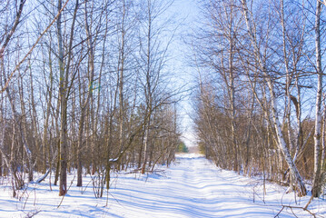 road through the winter snowbound forest at the bright day
