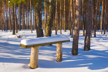 small wooden bench stay among winter snowbound forest