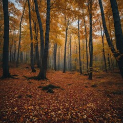 Naklejka premium A colorful autumn forest with leaves falling from the trees.