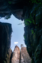 Majestic sandstone cliffs surrounded by lush greenery and forests for tourism, ecotourism