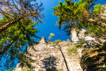 Majestic sandstone cliffs surrounded by lush greenery and forests for tourism, ecotourism