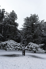 Discover the Magic of Nature - Unique Landscape Photos 