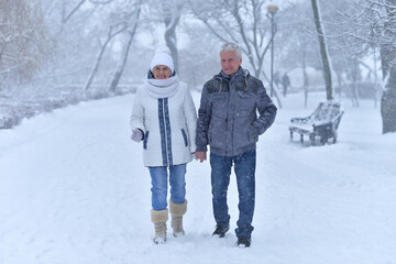 An elderly couple walks in a winter park